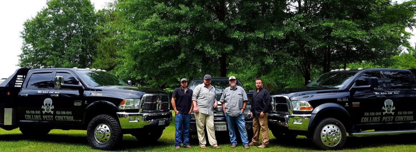Collins Pest Control